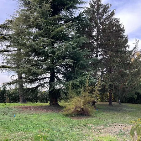 Marimaste Nocleg ze śniadaniem