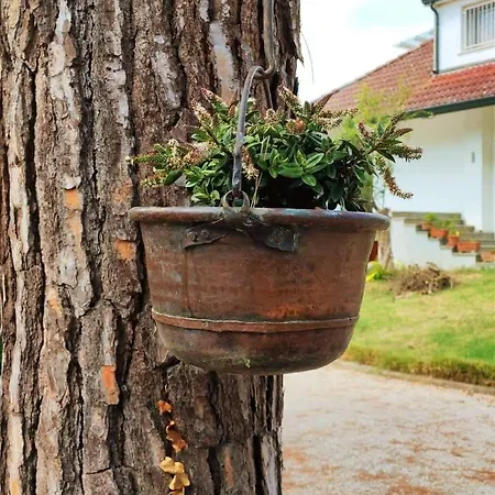 Marimaste Nocleg ze śniadaniem 4*