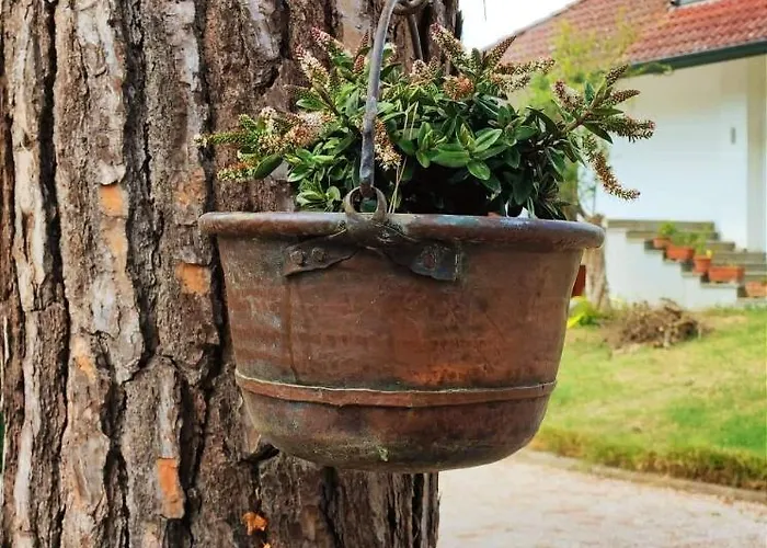 Marimaste فندق مبيت وإفطار 4*