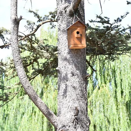 Marimaste Отель типа 