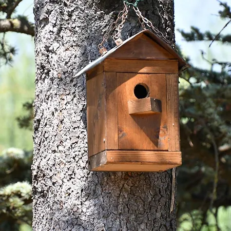 Marimaste לינה וארוחת בוקר