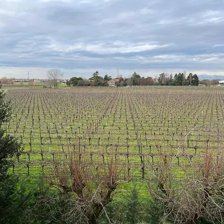 Marimaste רונקאדה