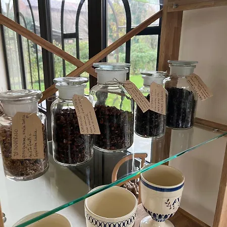 Marimaste רונקאדה