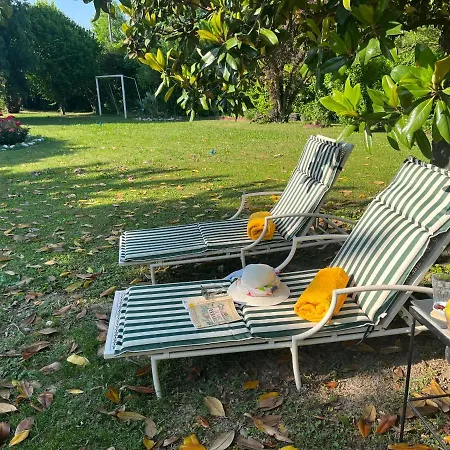 Marimaste רונקאדה