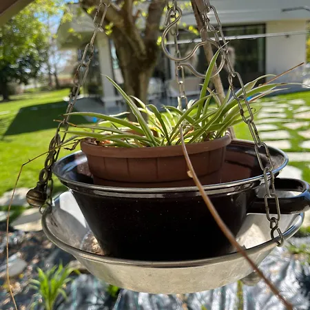 Marimaste Отель типа 