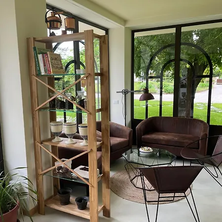 Marimaste רונקאדה