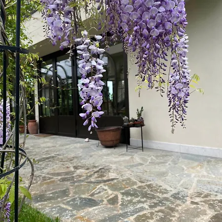 Marimaste רונקאדה