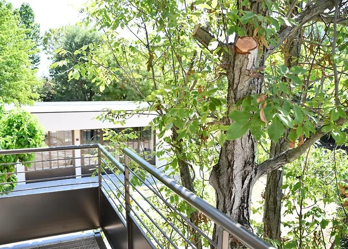 לינה וארוחת בוקר Marimaste רונקאדה