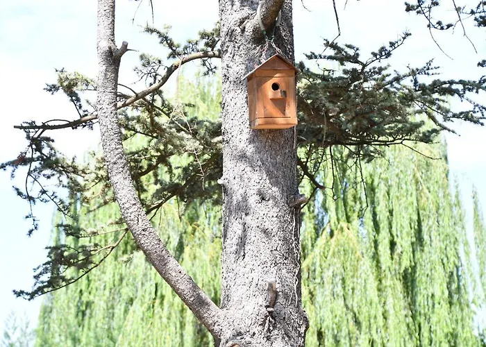 Marimastè Couette-café 4*