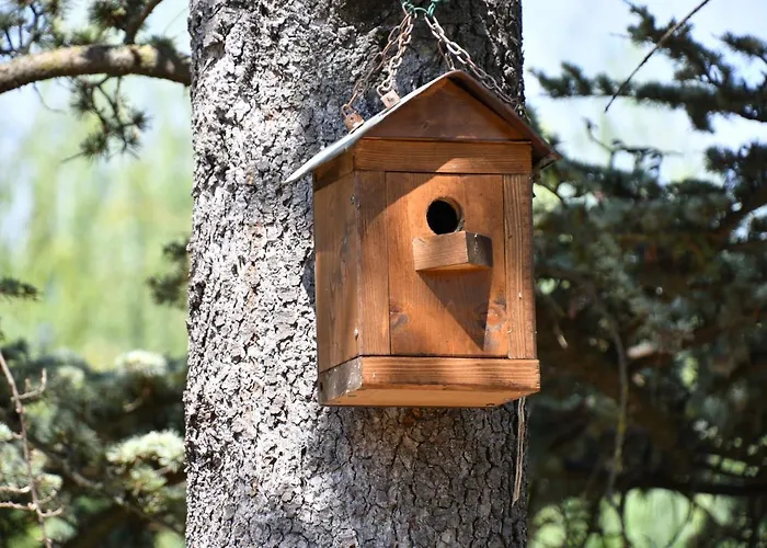 Marimaste לינה וארוחת בוקר