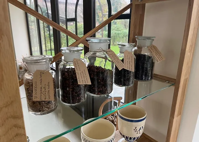 Marimaste רונקאדה