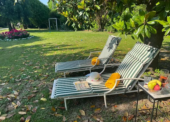 Marimaste רונקאדה