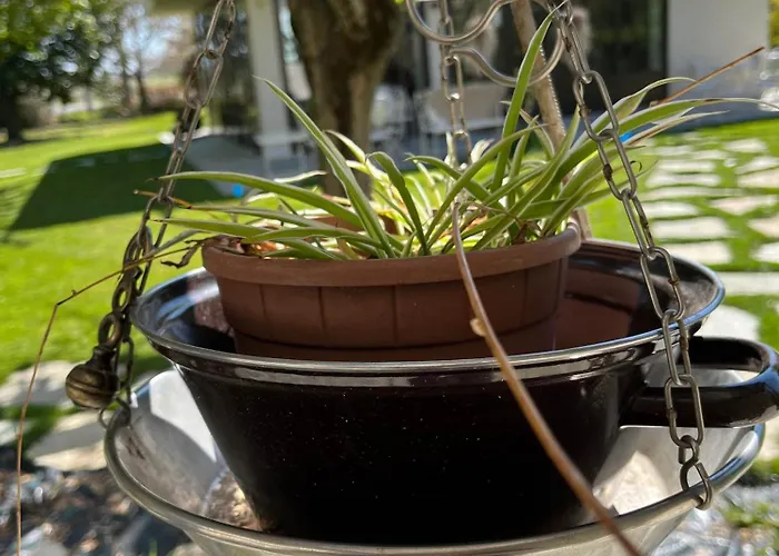 Marimastè Couette-café