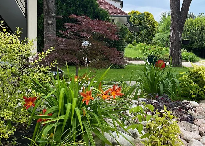 Couette-café Marimastè Roncade