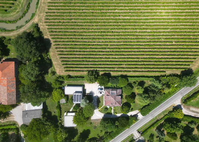 לינה וארוחת בוקר Marimaste